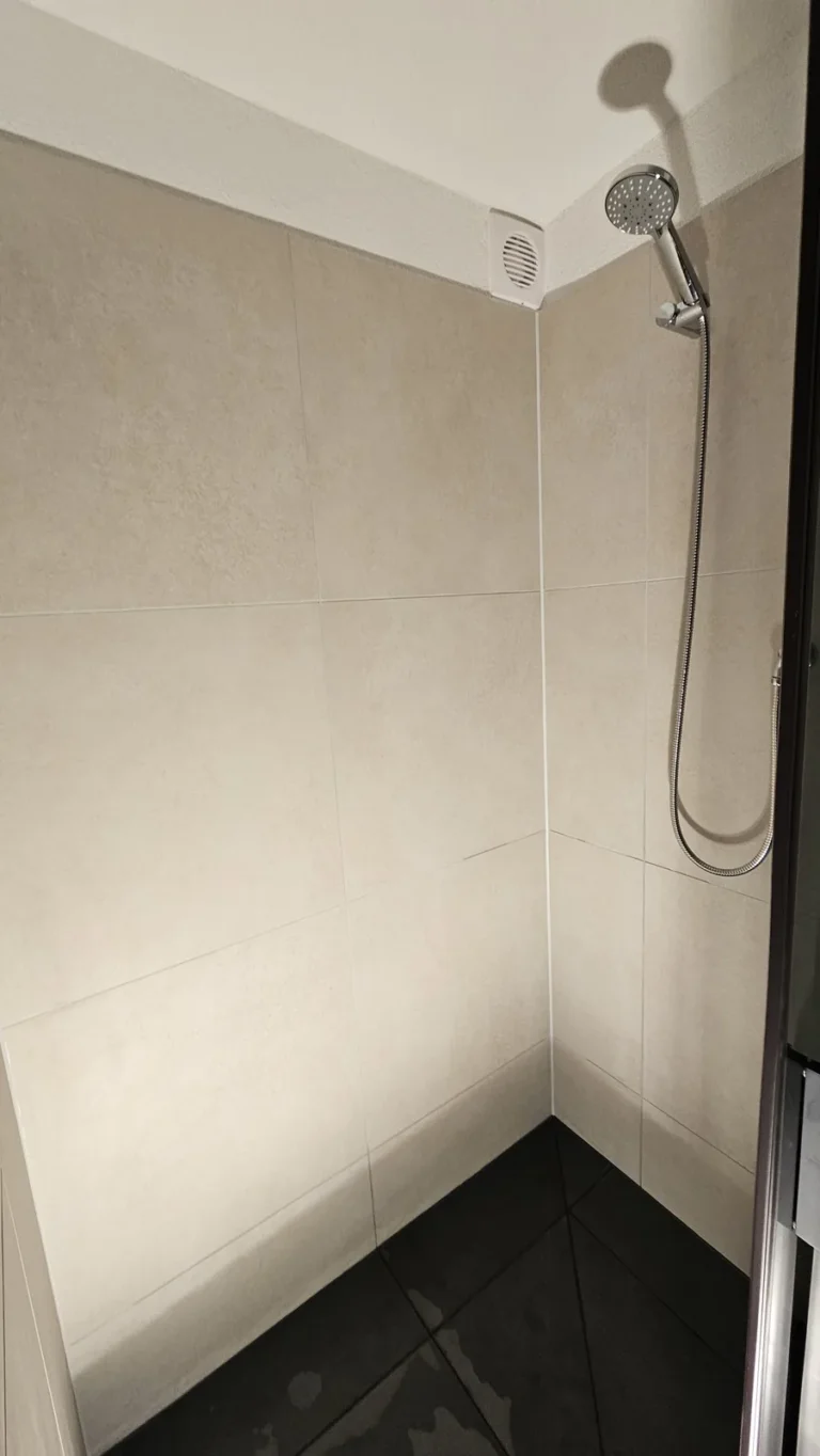 Łazienka w apartamencie, Szwajcaria — remont łazienki