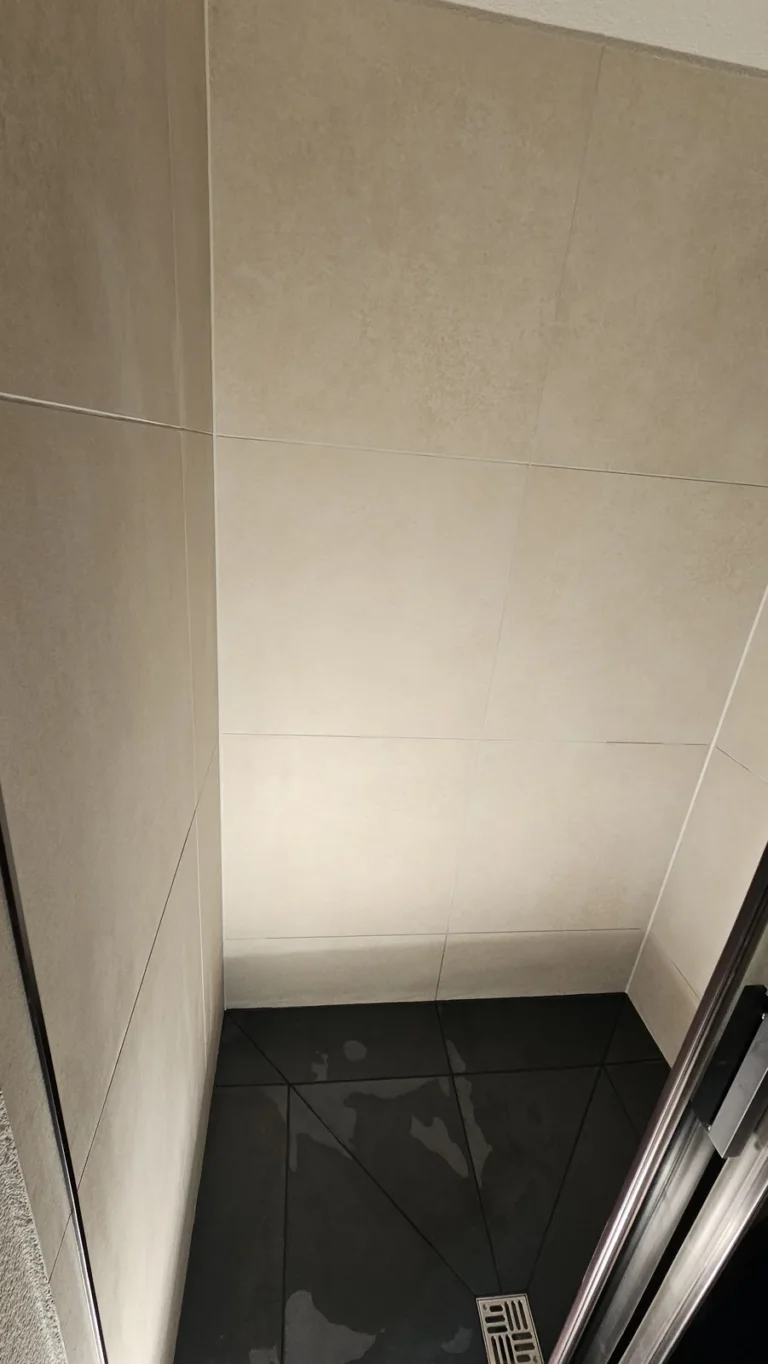 Łazienka w apartamencie, Szwajcaria — remont łazienki