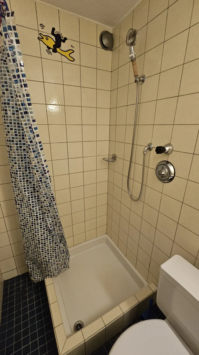 Łazienka w apartamencie, Szwajcaria — remont łazienki