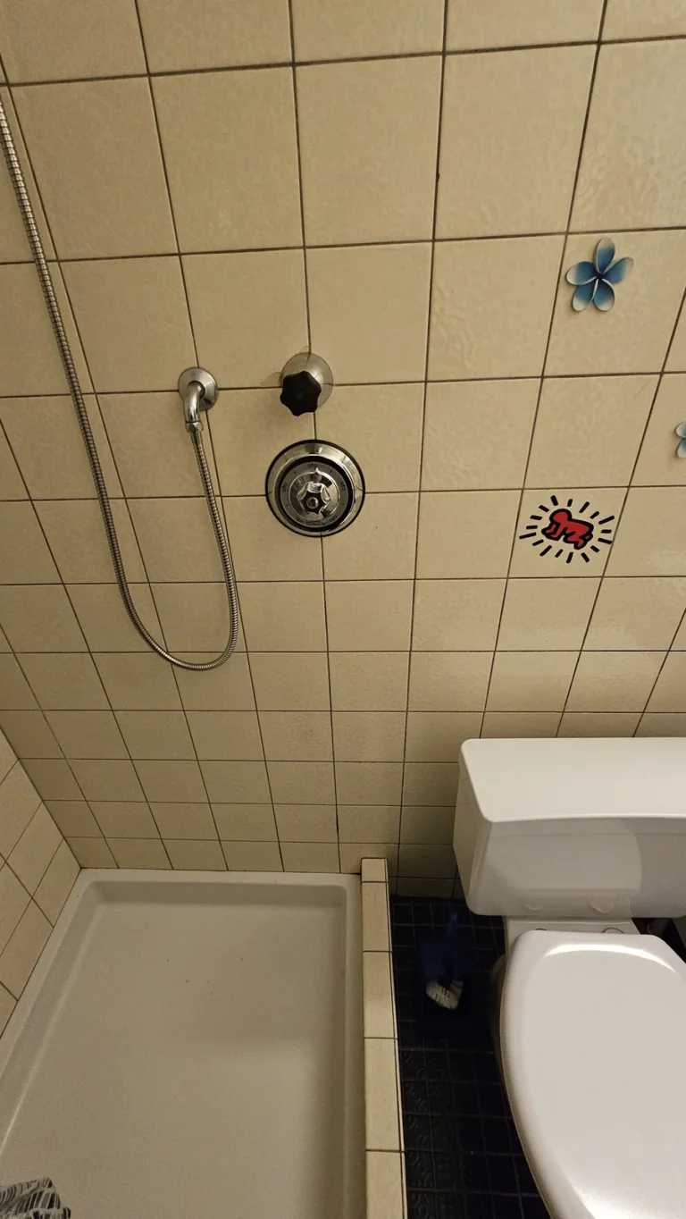 Łazienka w apartamencie, Szwajcaria — remont łazienki